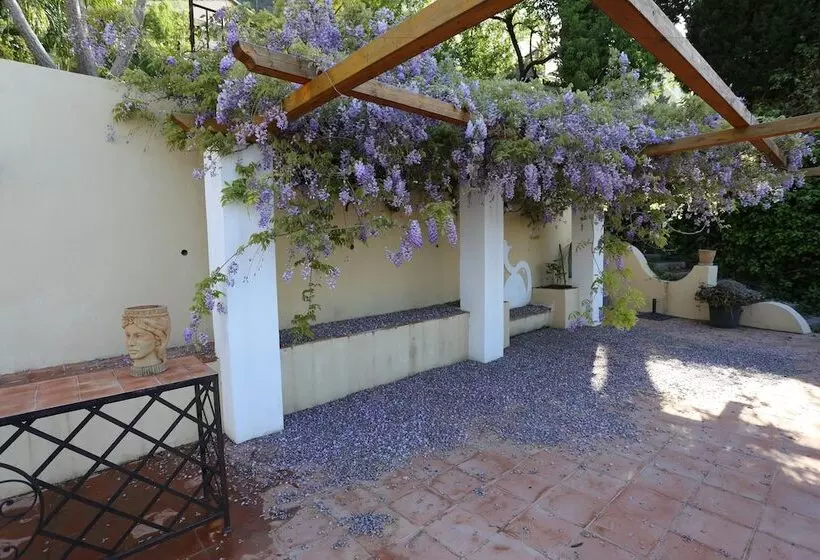 Fotos del hotel Casa Cuseni Maison De Charme:  4