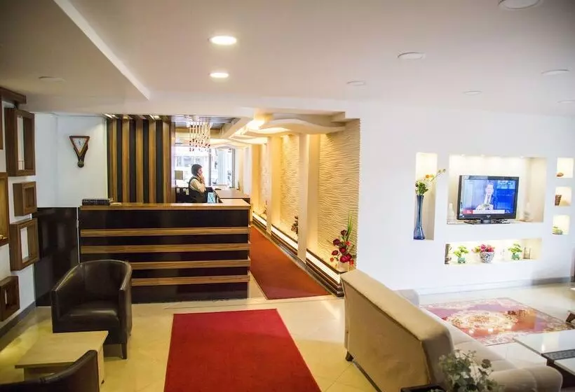 Fotos del hotel Grand Merin Airport:  4