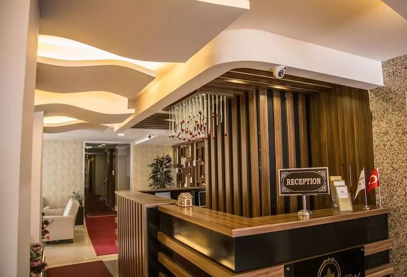 Fotos del hotel Grand Merin Airport:  13