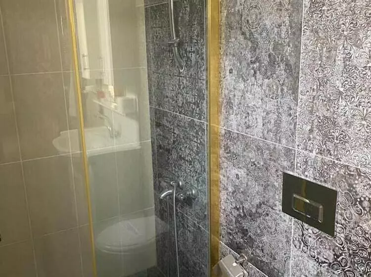 Fotos del hotel Grand Merin Airport:  25