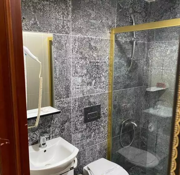 Fotos del hotel Grand Merin Airport:  24