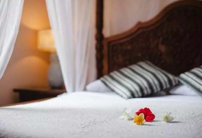Fotos del hotel Honeymoon Guesthouse:  25