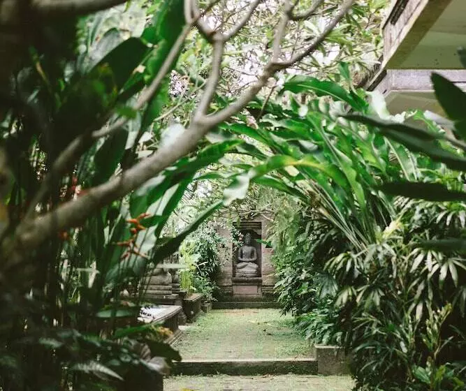 Fotos del hotel Honeymoon Guesthouse:  22
