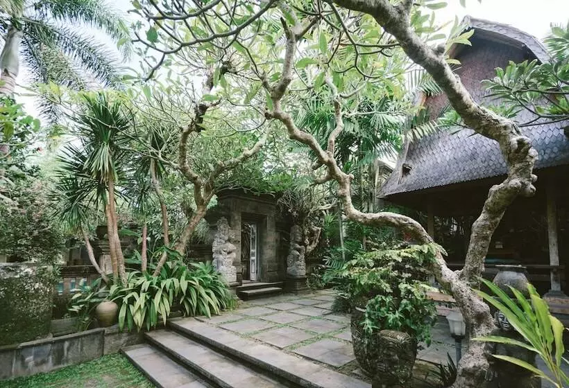 Fotos del hotel Honeymoon Guesthouse:  12