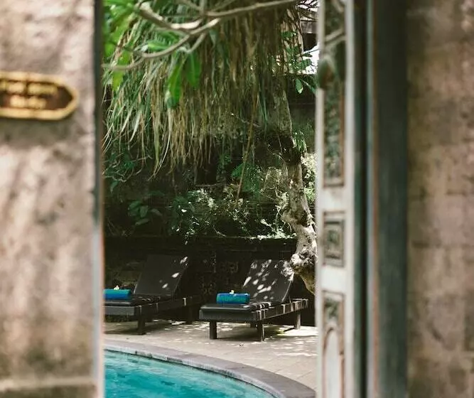 Fotos del hotel Honeymoon Guesthouse:  2