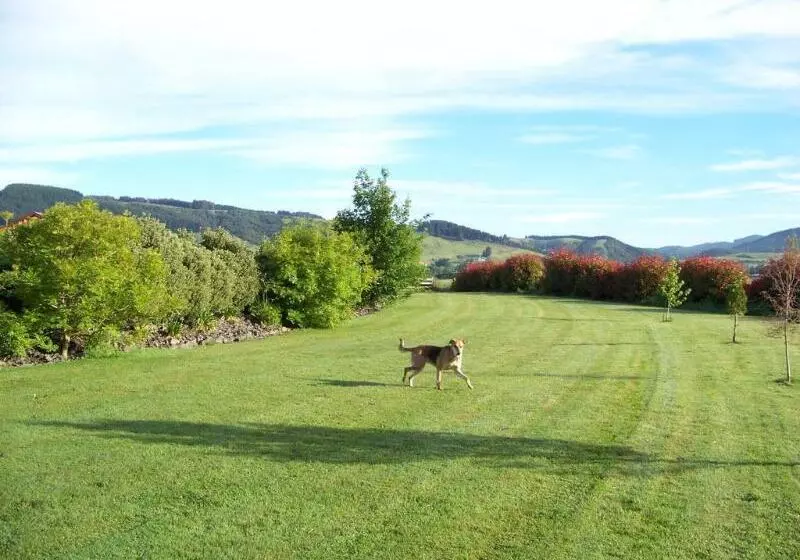 Fotos del hotel Longbourne Lodge Motel Mosgiel:  6