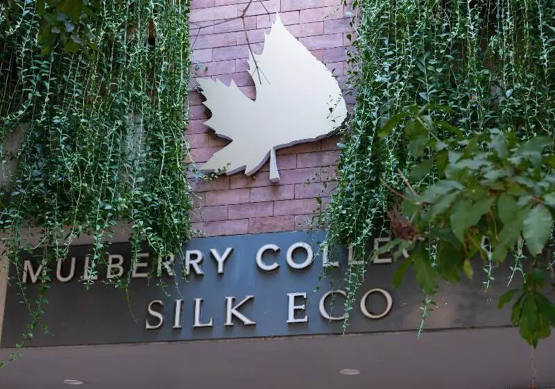 Fotos del hotel Mulberry Collection Silk Eco:  18