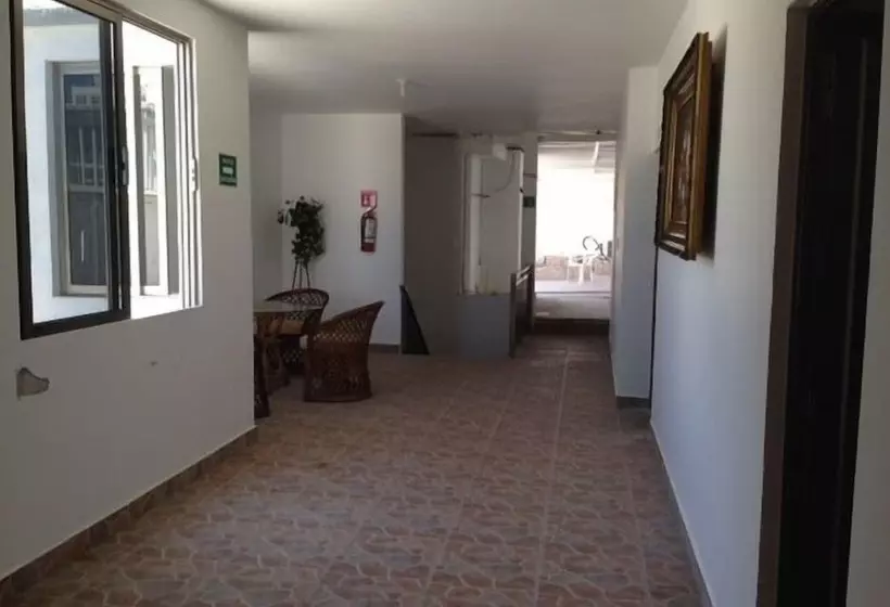 Fotos del hotel Banus:  13