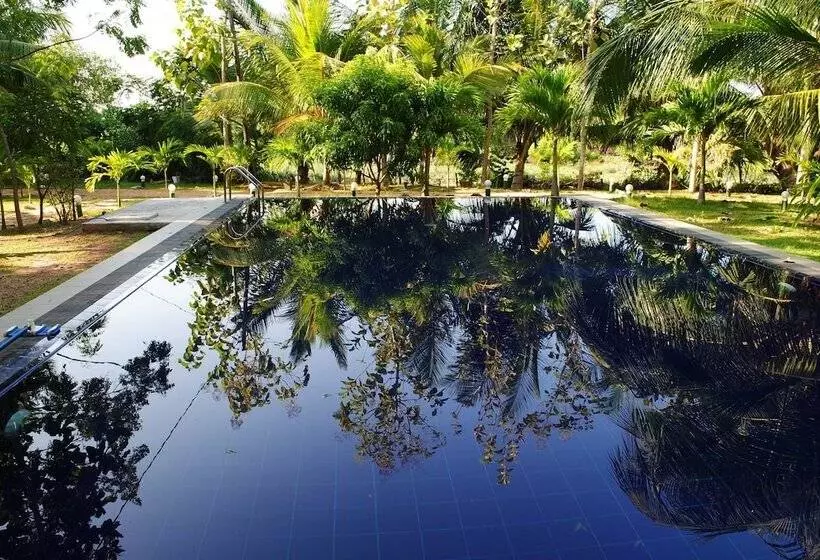 Fotos del hotel Asha Beach & Spa:  3