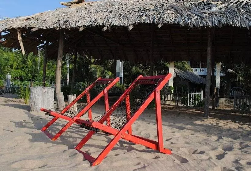 Fotos del hotel Asha Beach & Spa:  4