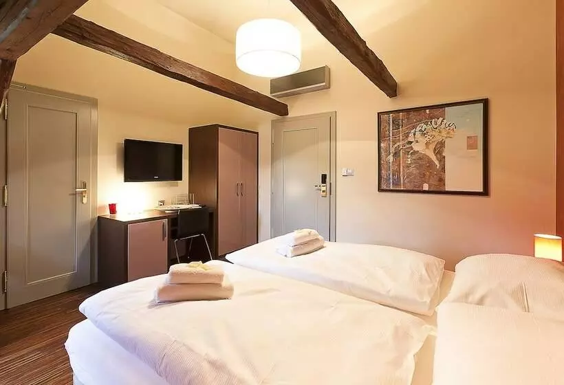 Fotos del hotel Kr?ín?v D?m:  10