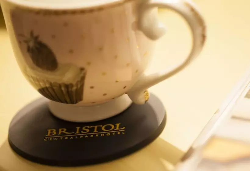 Fotos del hotel Bristol Central Park Hotel:  8