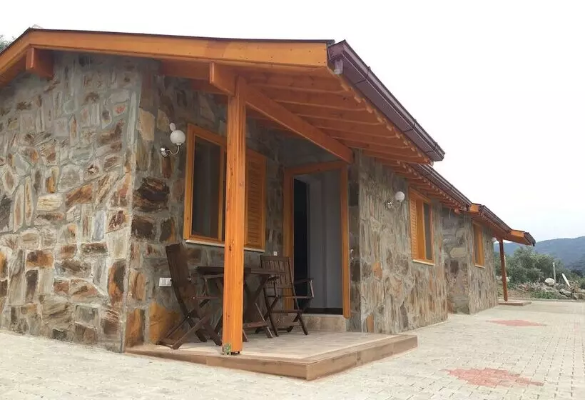 Fotos del hotel Natureland Efes Pension:  19