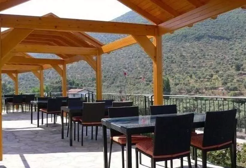 Fotos del hotel Natureland Efes Pension:  6