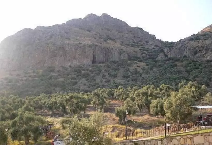 Fotos del hotel Natureland Efes Pension:  14