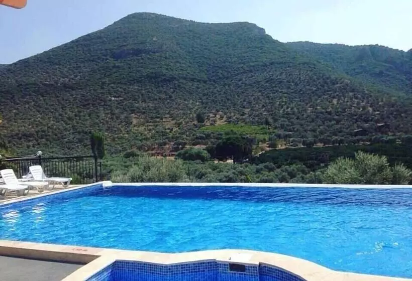 Fotos del hotel Natureland Efes Pension:  15