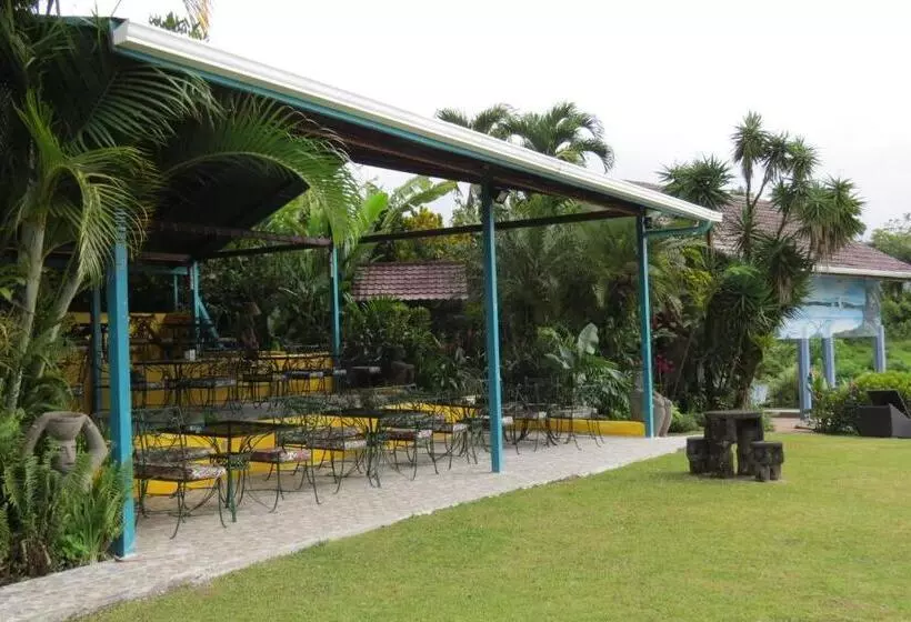 Fotos del hotel La Mansion Inn Arenal:  20