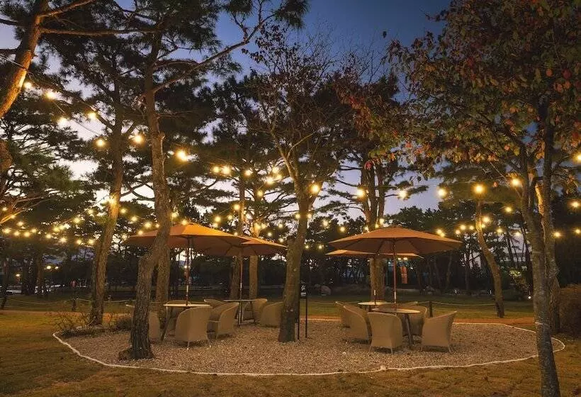 Fotos del hotel Kensington Resort Seorak Beach:  17