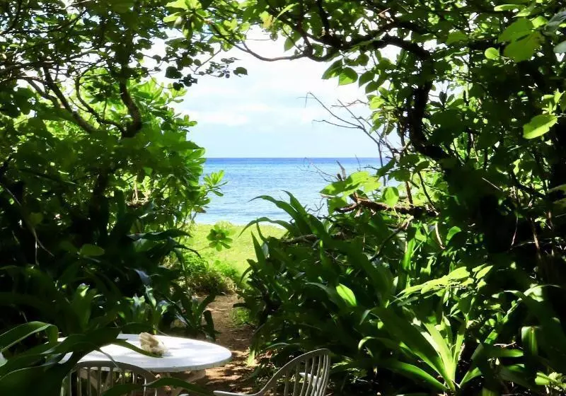 Fotos del hotel Alaise De Bale Ishigaki:  20