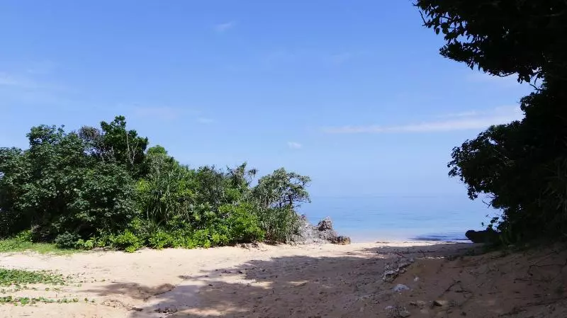 Fotos del hotel Alaise De Bale Ishigaki:  18