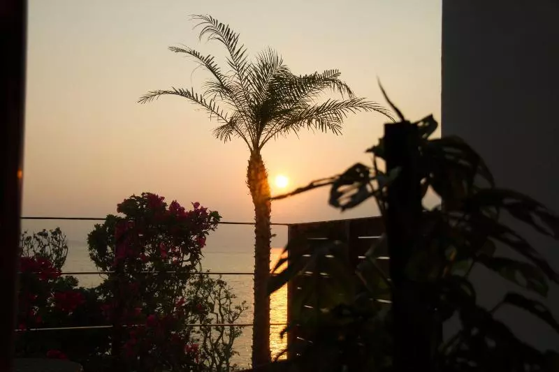 Fotos del hotel Alaise De Bale Ishigaki:  22