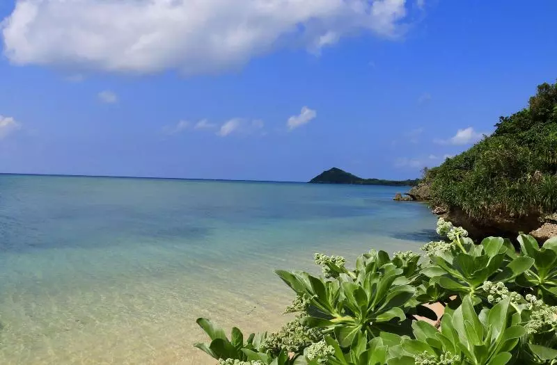 Fotos del hotel Alaise De Bale Ishigaki:  10