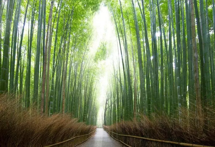 Fotos del hotel Binario Saga Arashiyama:  6