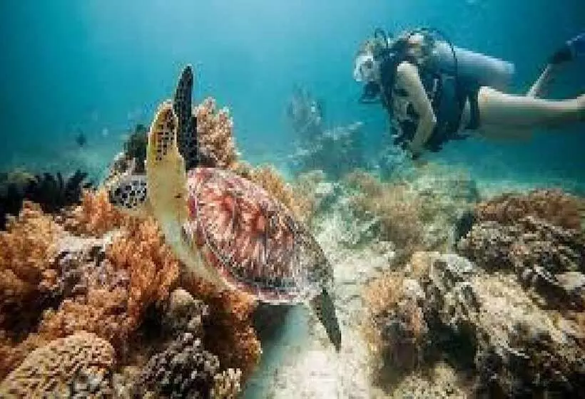 Fotos del hotel Gili Breeze Tropical Bungalows:  14