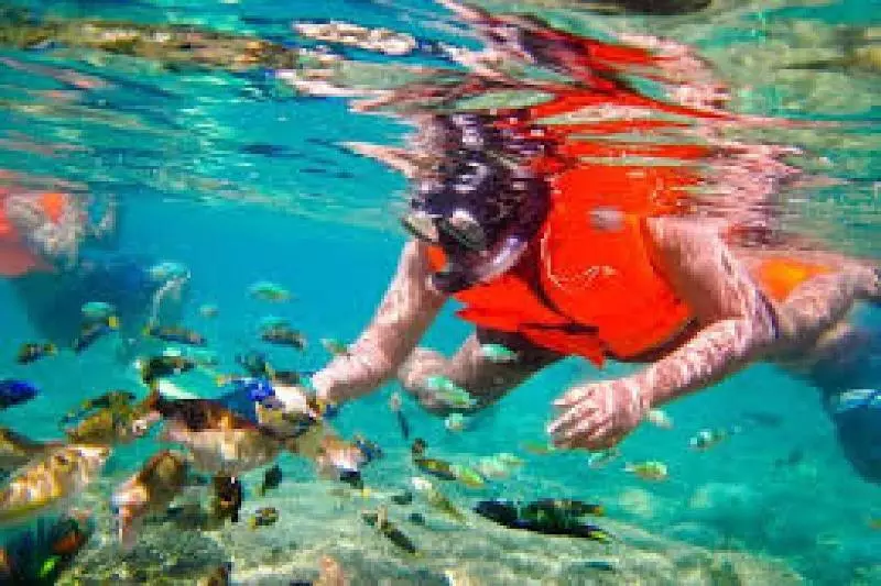 Fotos del hotel Gili Breeze Tropical Bungalows:  17