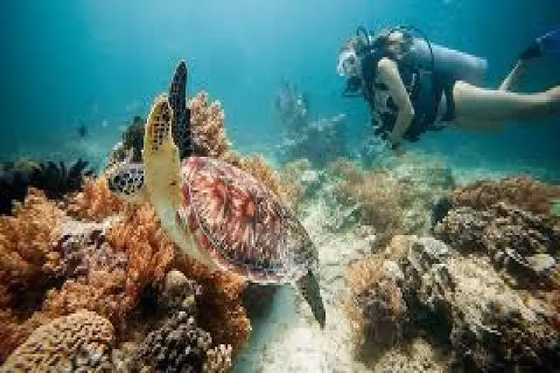 Fotos del hotel Gili Breeze Tropical Bungalows:  20