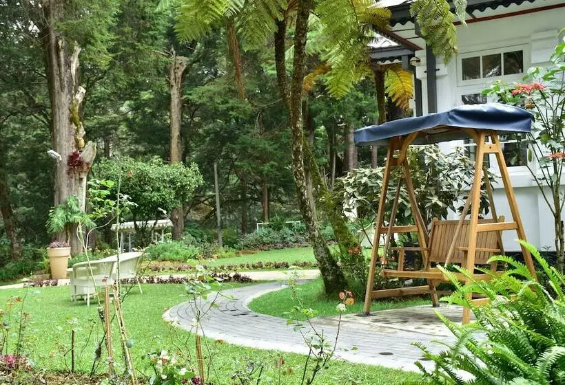 Fotos del hotel Mirage Kings Cottage:  3