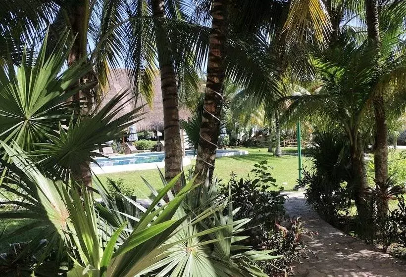 Fotos del hotel Wish Tulum:  11