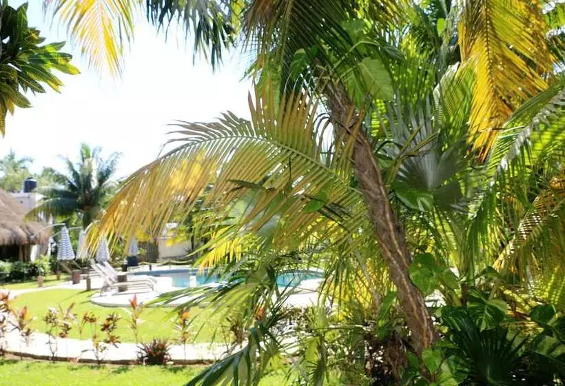 Fotos del hotel Wish Tulum:  5