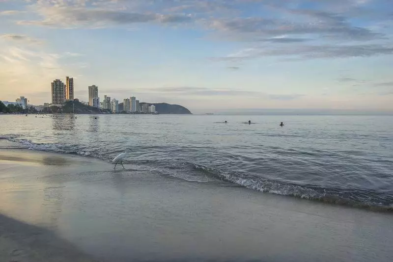 Fotos del hotel Portobahia:  15