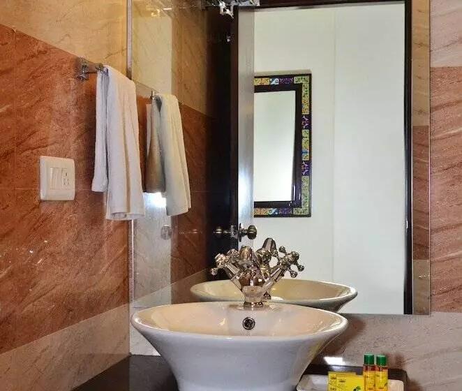 Fotos del hotel Raj Regency:  24