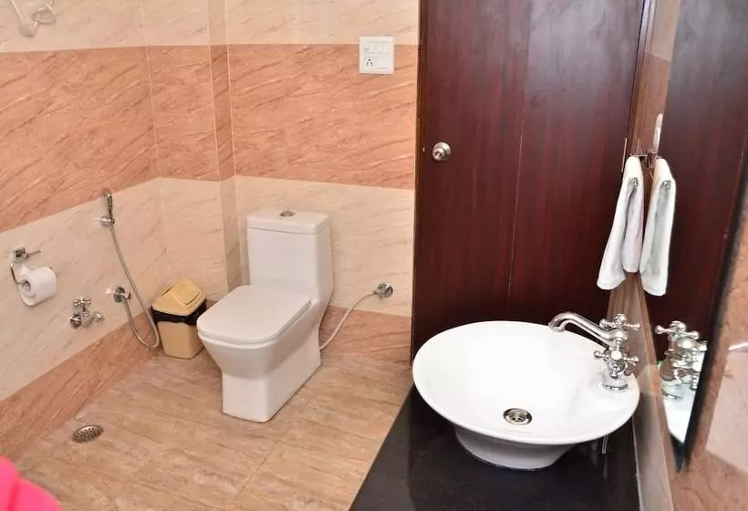 Fotos del hotel Raj Regency:  22