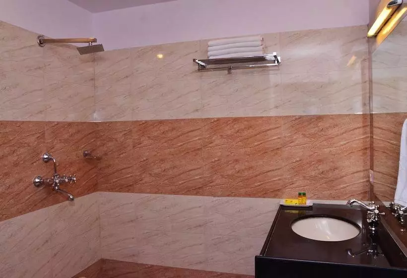 Fotos del hotel Raj Regency:  6