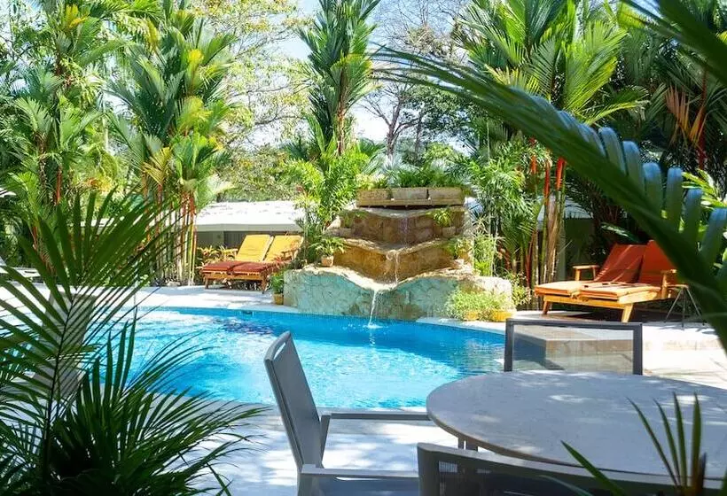 Fotos del hotel La Vela Boutique:  2