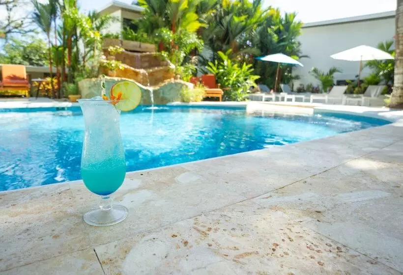 Fotos del hotel La Vela Boutique:  4