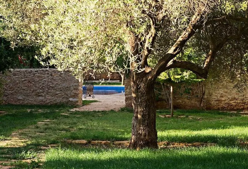 Ryad Des Vignes