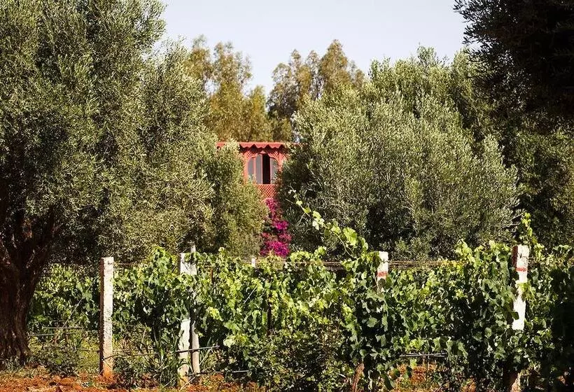 Fotos del hotel Ryad Des Vignes:  24