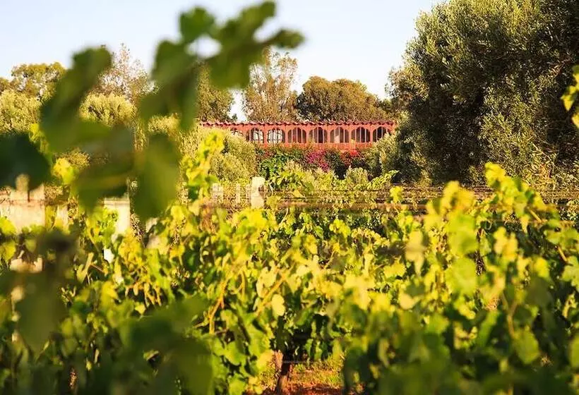 Fotos del hotel Ryad Des Vignes:  17