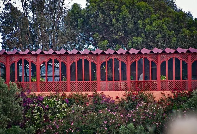 Fotos del hotel Ryad Des Vignes:  14