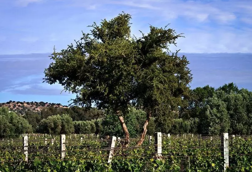 Fotos del hotel Ryad Des Vignes:  7