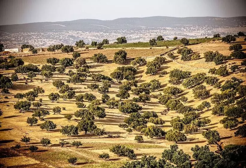 Fotos del hotel Ryad Des Vignes:  15