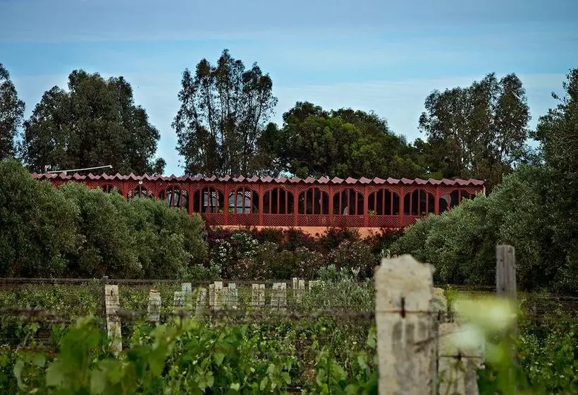 Fotos del hotel Ryad Des Vignes:  19