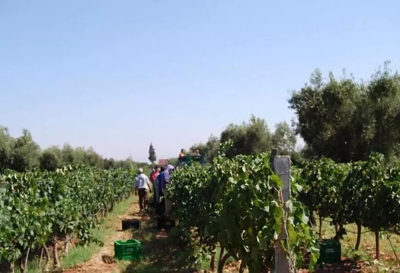 Fotos del hotel Ryad Des Vignes:  9