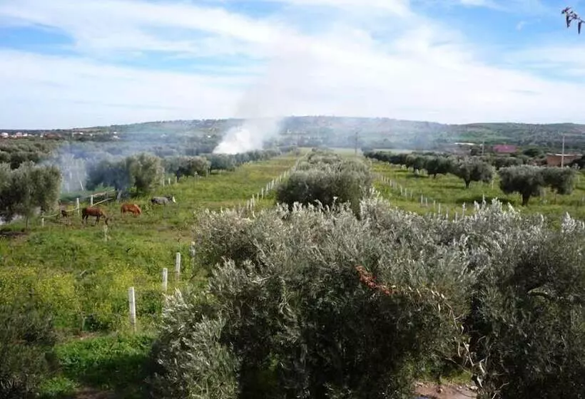 Fotos del hotel Ryad Des Vignes:  6