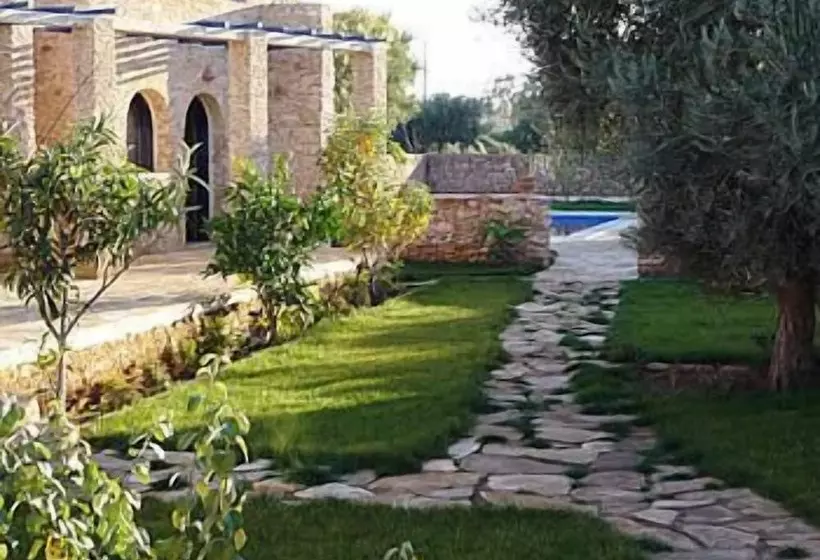 Fotos del hotel Ryad Des Vignes:  8