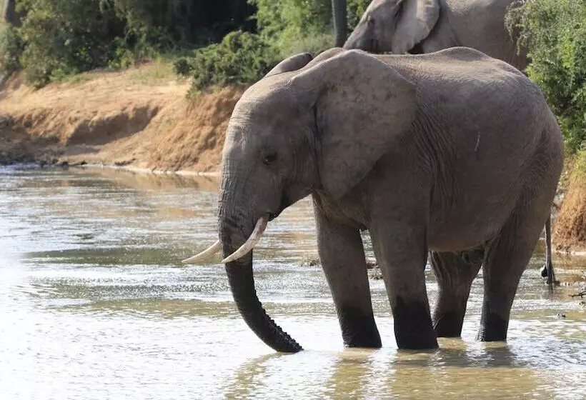 Fotos del hotel Elephants Footprint Lodge:  8